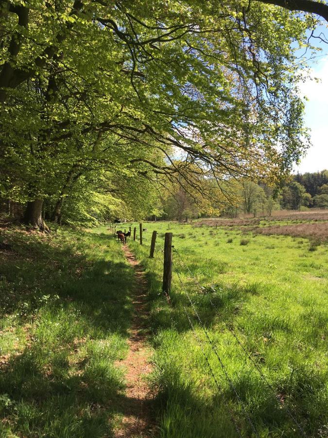 Gemuetliche Im Luftkurort Albersdorf (Dithmarschen)